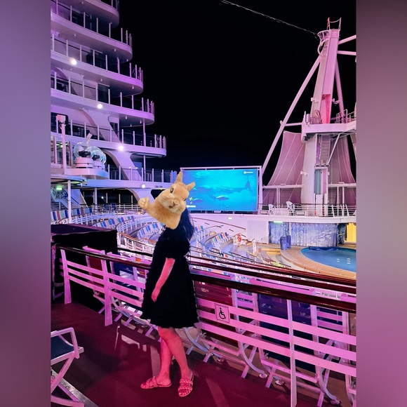 BOGO: Feather little black dress (high quality) - Picture 3 of 7